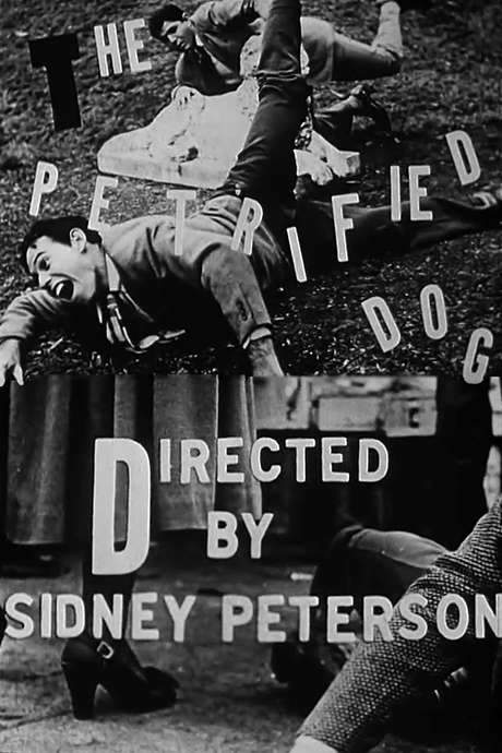 The film intertwines frantic pursuits: a mother chases her child, a man appears to chase his own self, and a woman, still nibbling her lipstick, is hunted by a stranger. Its tone feels like a scrambled Alice‑in‑Wonderland, backed by a brutalist soundtrack, while a painter’s strokes on an empty frame echo the endless quest for art.